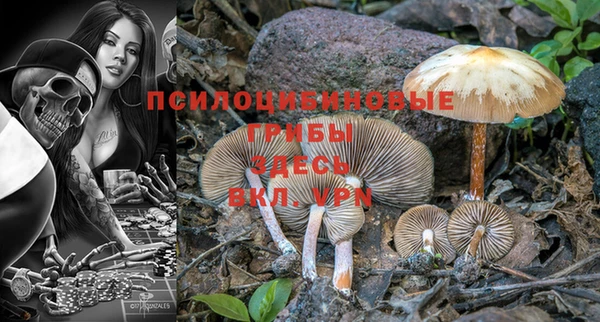 экстази Абаза