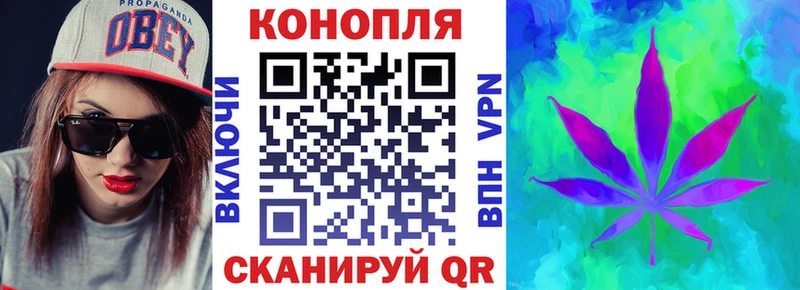 Бошки марихуана план Чебаркуль